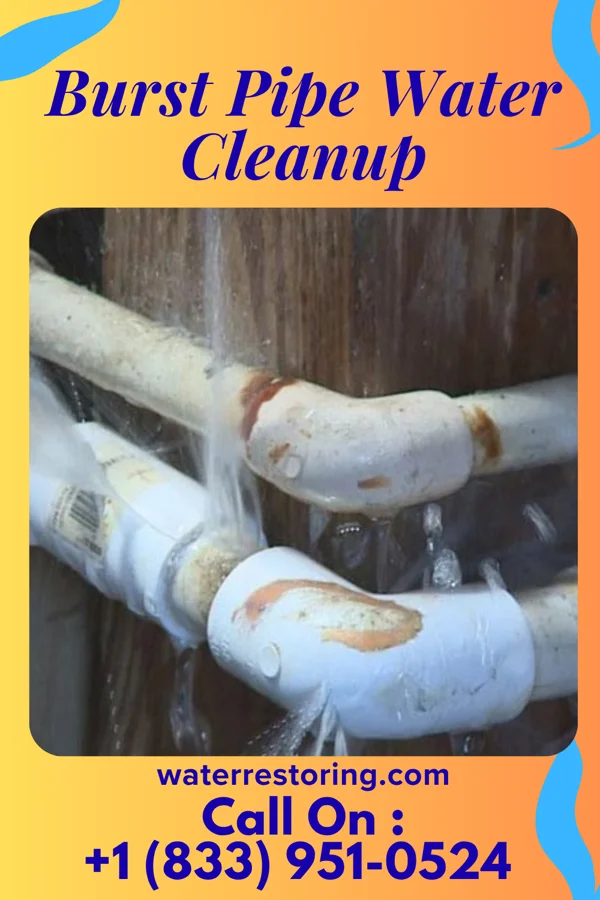Burst Pipe Water Cleanup in Thackerville, OK