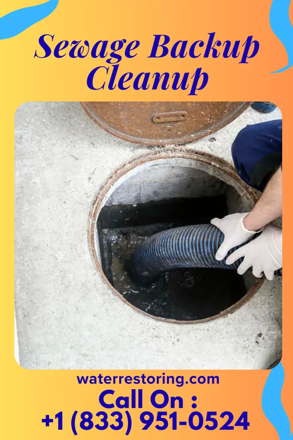 Sewage Backup Cleanup in Thackerville, OK